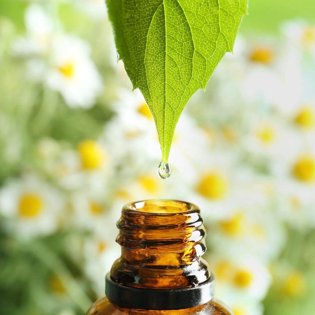 Aromathérapie, Pharmacie Delamare, Yvetot, Barentin